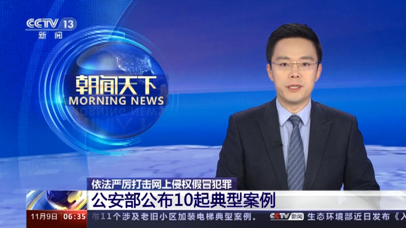 公安部公布依法严厉打击网上侵权假冒犯罪10起典型案例