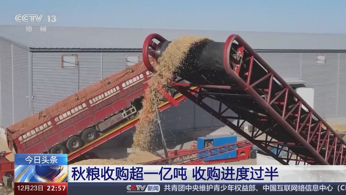全国秋粮收购超一亿吨 收购进度过半