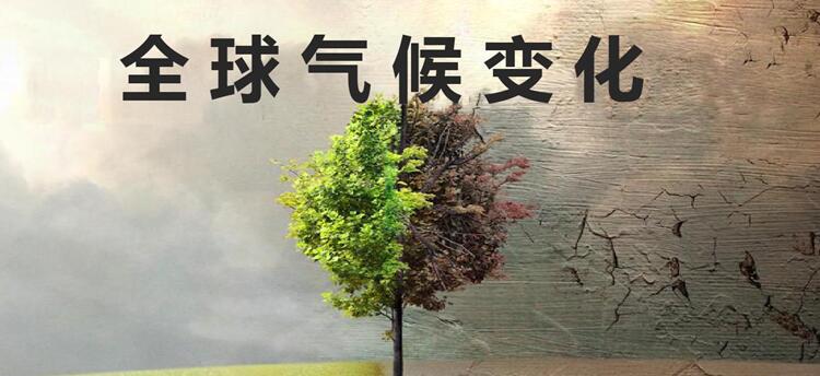 应对气候变化 教育要从娃娃抓起