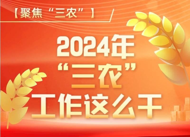 【聚焦“三农”】图解 | 2024年“三农”工作这么干