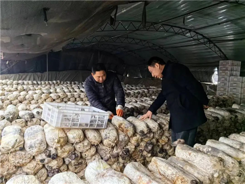 乡村文化振兴 | 聊城市东昌府区：踏雪送“良方