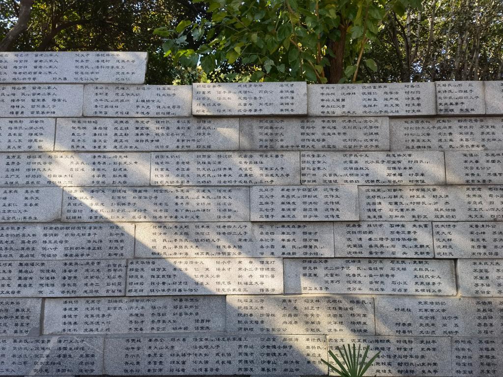 新华全媒+丨在缅怀哀思中凝聚奋进之力——写在第十个国家公祭日到来之际