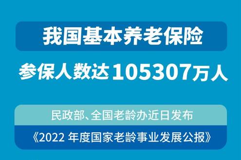 我国基本养老保险参保人数达105307万人