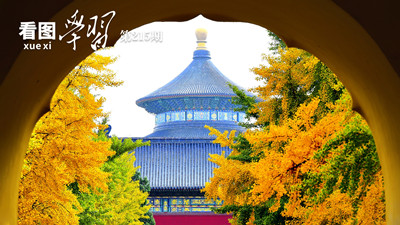 看图学习丨文化是城市的灵魂 要延续城市历史文脉