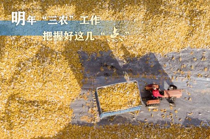 明年“三农”工作，这几个“点”要把握好