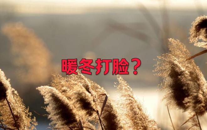 气温屡创新低，今年还是暖冬吗