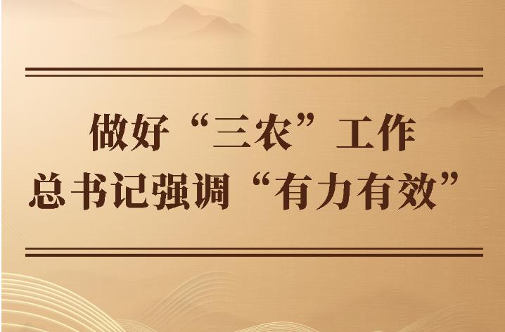 第一观察｜做好“三农”工作 总书记强调“有力有效”
