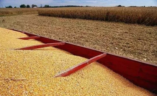 把牢粮食安全主动权——透视粮食生产攻坚克难夺丰收的关键之举