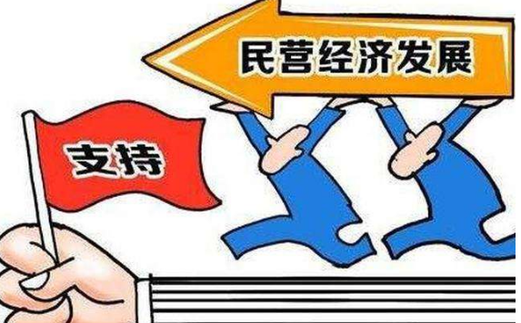 如何促进民营企业发展壮大