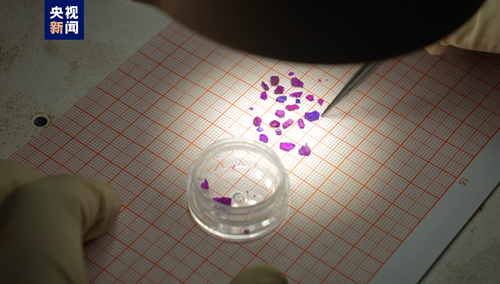 我国科学家实现无液氦极低温制冷基础研究突破