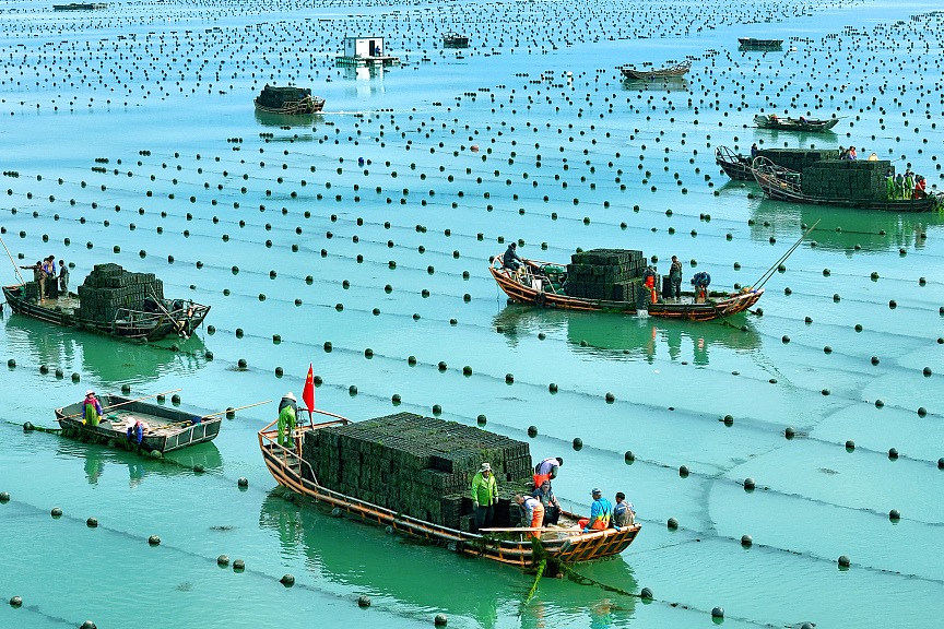 “蓝色粮仓”挺进深远海