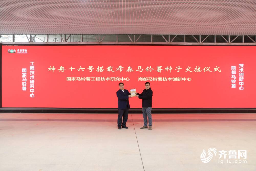 我国首批航天耐盐碱马铃薯种子交接完成