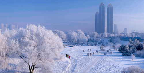 冰天雪地“热力十足”——看全国各地冰雪经济带动高质量发展