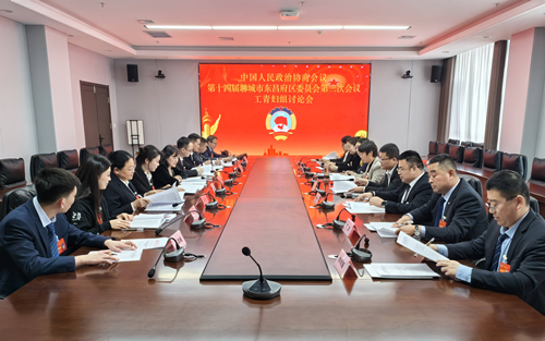 政协委员分组讨论 凝心聚力共谋发展