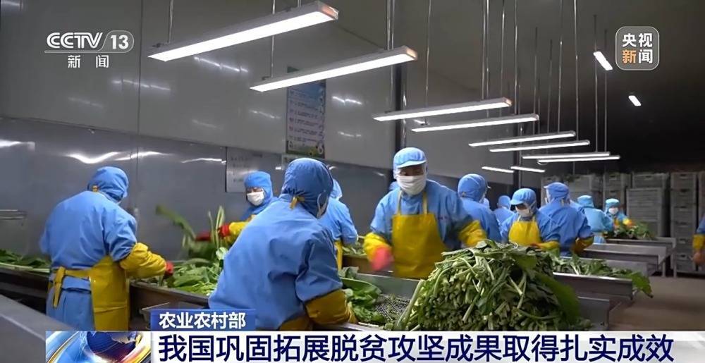 我国将加快建立常态化帮扶机制巩固拓展脱贫攻坚成果