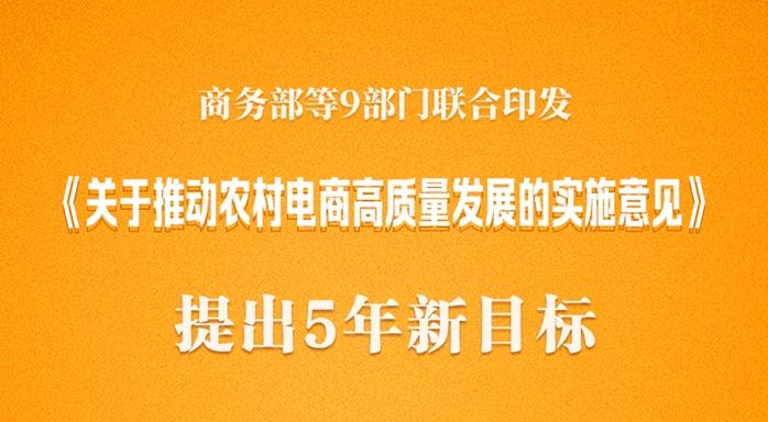 农村电商高质量发展五年新目标出炉