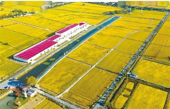 全国耕地总量连续净增长 国土空间格局持续优化