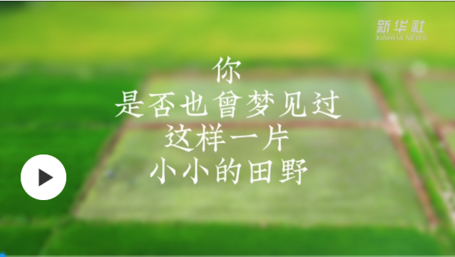 移轴镜头看一场超梦幻的春耕
