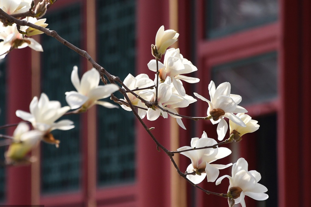 “春日经济”激活消费市场潜力