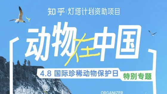 知乎上线动物保护日专题，“灯塔计划”资助中国野生动物科普