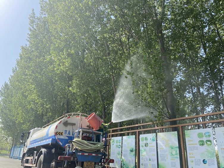 换成无絮杨柳行不行