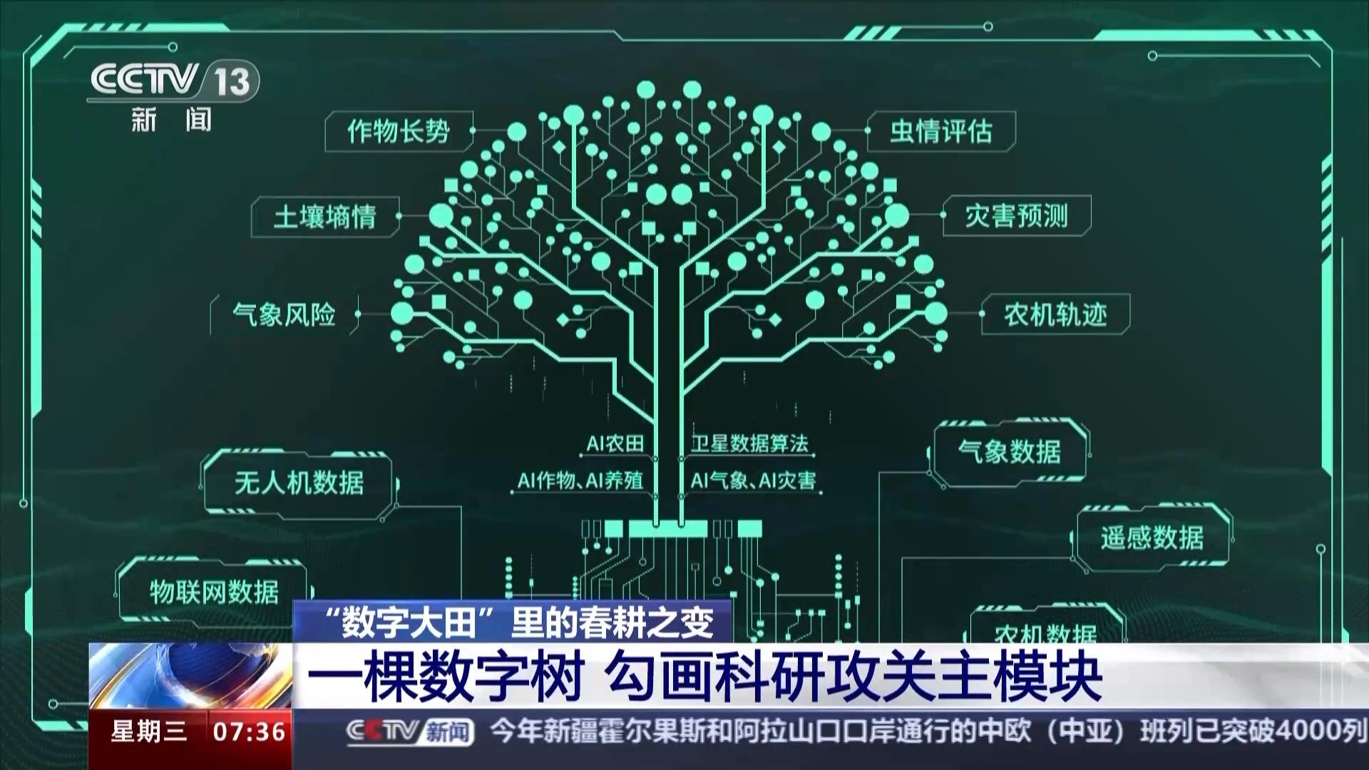写字楼里农事忙 “数字大田”用上了卫星遥感技术