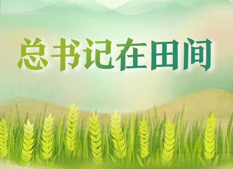 学习时节｜总书记在田间