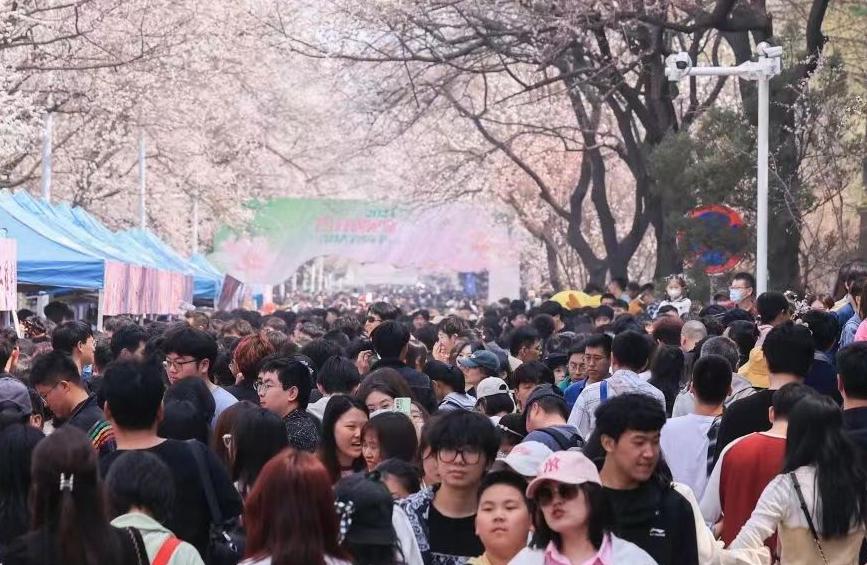 这个“五一”怎么玩？从平台数据看假期出游风向标