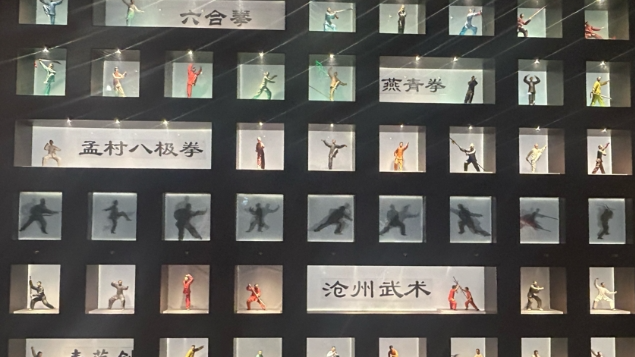 当跆拳道遇见八极拳，会产生什么反应？