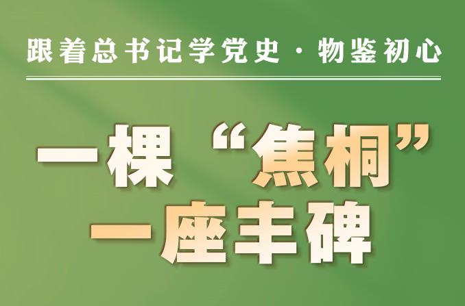 跟着总书记学党史·物鉴初心|一棵“焦桐” 一座丰碑