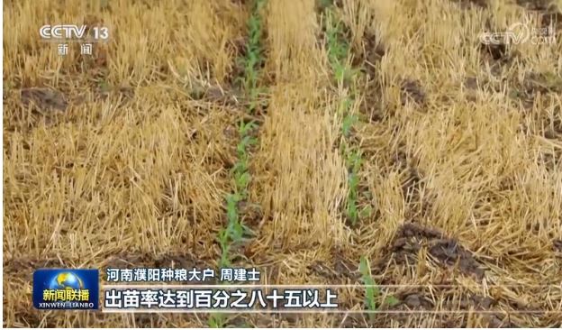 抗旱保夏播 夯实秋粮丰收基础