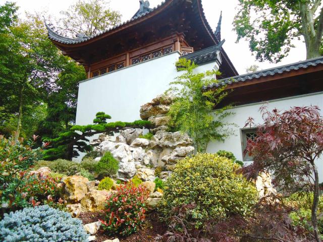 青春匠心传播中国文化 这些年轻人在海外建起中式园林