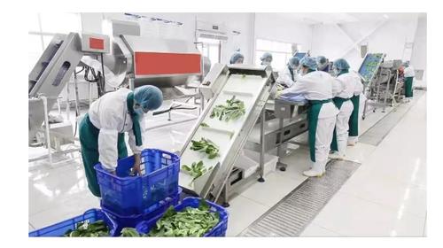 首批中央厨房推荐性国家标准发布 包括建设要求、运营管理规范