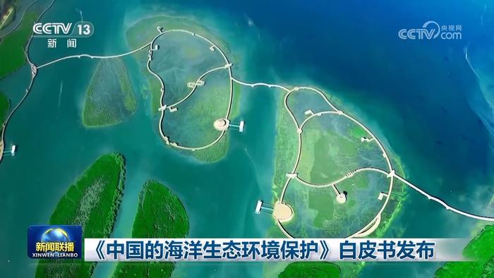 《中国的海洋生态环境保护》白皮书发布 力争2035年全国283个海湾“各美其美”