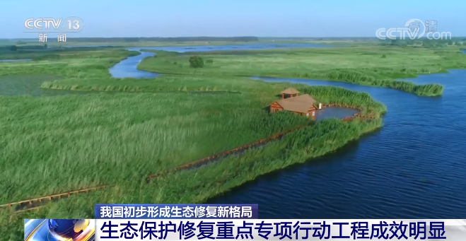 我国国家公园建设取得重要成果 生态保护成效明显
