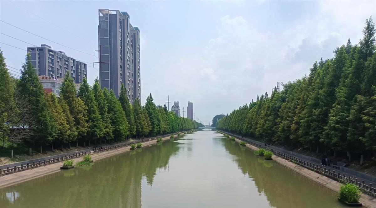 今年以来湖北完成长江入河排污口整治近1.2万个