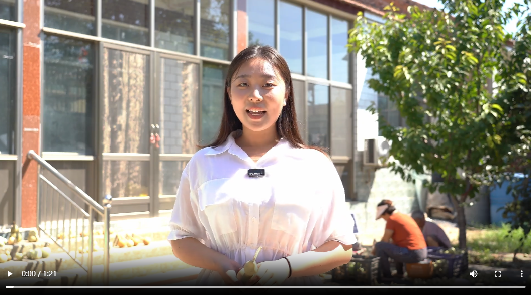 聊城临清市：小葫芦拓宽增收致富新路径