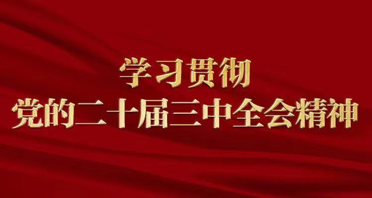 习近平：在党的二十届三中全会第二次全体会议上的讲话