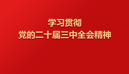 加强党建引领基层治理（权威访谈·学习贯彻党的二十届三中全会精神）