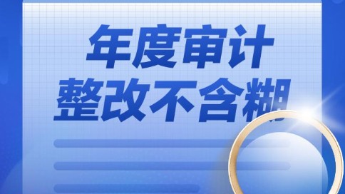 超5300亿元！年度审计整改不含糊