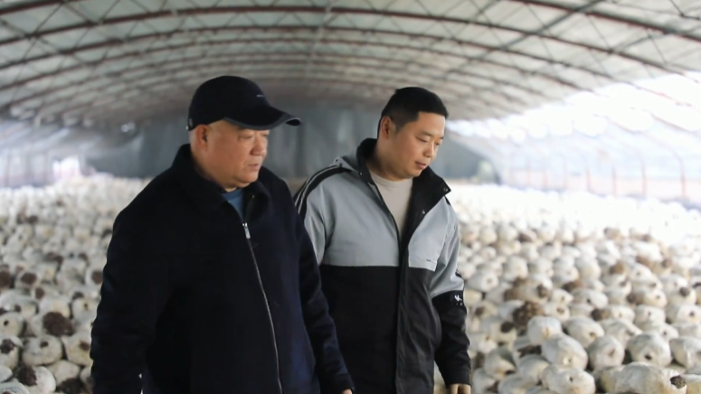 聊城市东昌府区：“土专家”“田秀才”助力乡村振兴
