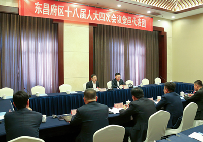 江绍华参加堂邑代表团审议时强调 聚焦和美乡村建设 做强葫芦文化产业 推动经济社会高质量发展