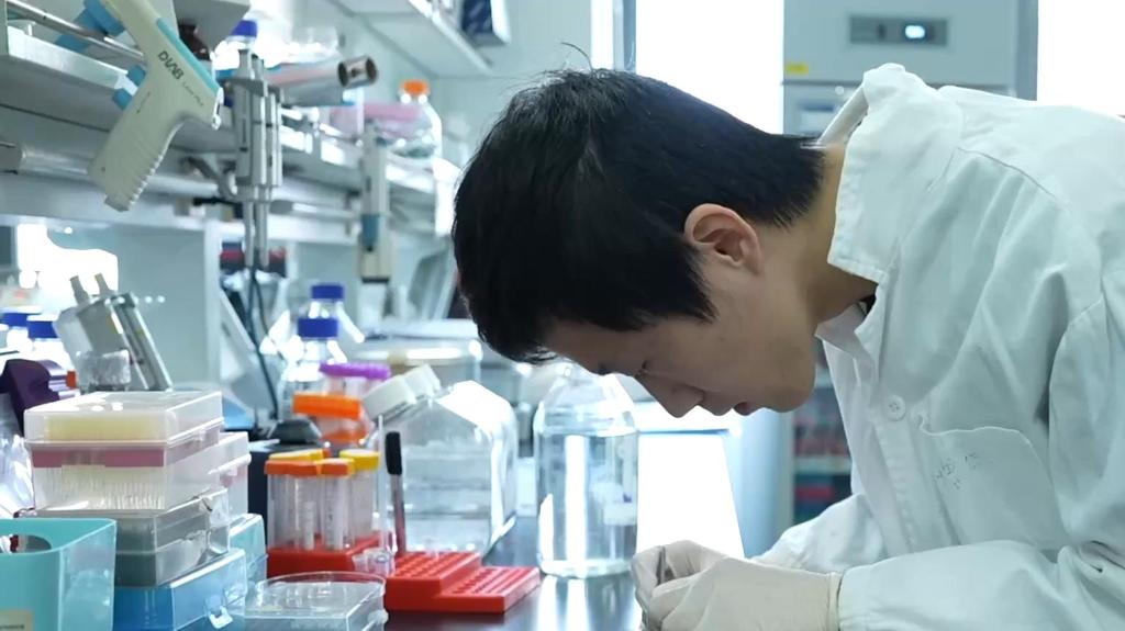 科学家成功解析大脑掌管学习记忆的“分子开关”