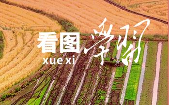 学习知行·中国式现代化丨“粮”安中国