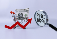1月末我国外汇储备规模32090亿美元