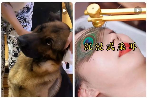 耳朵里长“脚气”！竟然是因为这个很多人都爱的活动……