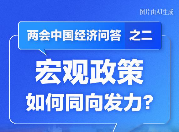 宏观政策如何同向发力？——两会中国经济问答之二