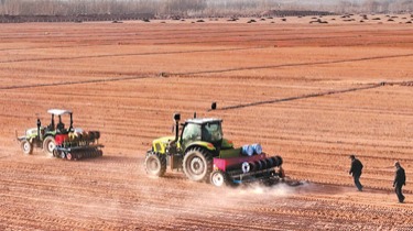 人工林保存面积、草地面积居世界第一——中国自然资源“家底”公布（锐财经）