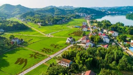 乡村旅游热持续升温 一季度全国接待总人次超7亿