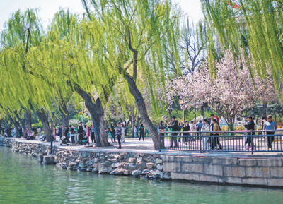 北京大力开发公园绿地，为群众提供更优质休憩环境  来公园，20分钟感受自然“疗愈”